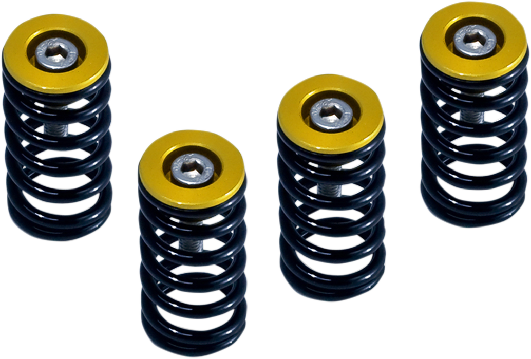 BARNETT Clutch Springs For All Ducati 6-Speed Dry Clutch Models. 519-25-06090
