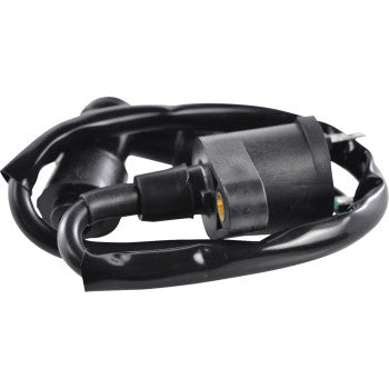 RM STATOR Ignition Coil - External RM06001