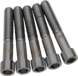 DRAG SPECIALTIES Bolts - Socket-Head - Smooth - 7/16" x 14 x 2-1/2" MPB704S