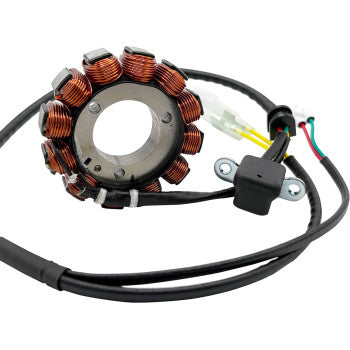 RICK'S MOTORSPORT ELECTRIC Stator Ktm 21-0101H
