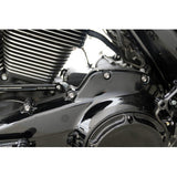 ARLEN NESS Bolt Kit - Primary Cover - Titanium - 12-Point - FLT - Polished 300-926