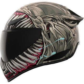 ICON Domain™ Helmet - Grand Maw - Gray - XS 0101-17294