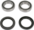 PIVOT WORKS Wheel Bearing Kit - Rear PWRWK-Y10-000