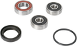 PIVOT WORKS Wheel Bearing Kit - Rear PWRWK-Y28-001
