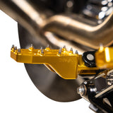 THRASHIN SUPPLY CO. Aggressor Foot Pegs - Rear - Gold - HD '72-'25 TSC-2022-5-D