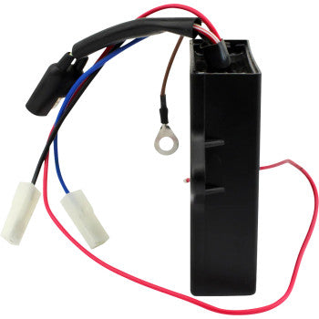 RM STATOR Ignition Conversion Kit - AC to DC - Polaris RM40000