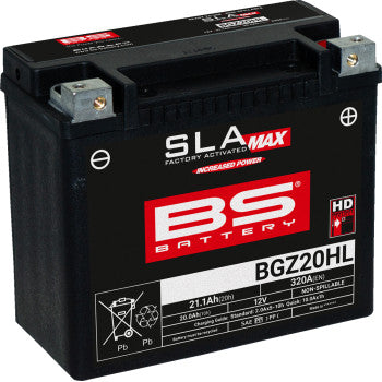 BS BATTERY Battery - BGZ20HL 300934