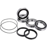 FACTORY LINKS Axle Bearing Kit - Rear - Suzuki ARA-S-005