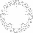 MOTO-MASTER Brake Rotor - Front - Flame 110765-PU