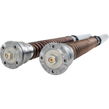 OHLINS Cartridge Kit - 30 mm (FGK236) FGK 236