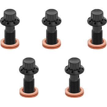 ARLEN NESS Bolt Banjo 5-Pk M10x1.25 Black 12-Pt Single F/R Mc Softail 300-861