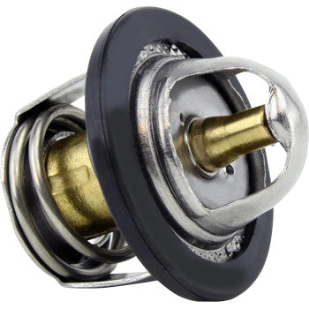 RM STATOR Thermostat - Polaris RMS150-105809