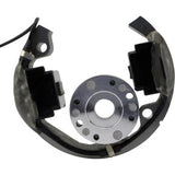 RM STATOR Stator/Rotor/Ignition Coil Kit - KTM/Husqvarna/Gas Gas RMS900-107608