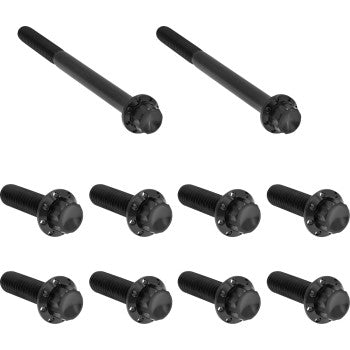 ARLEN NESS Bolt Kit - Transmission Side Cover/Trap Door - 12-Point - Titanium - Black 300-951