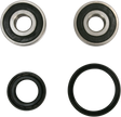 PIVOT WORKS Wheel Bearing Kit - Front PWFWS-H30-000