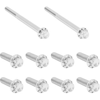 ARLEN NESS Bolt Kit - Transmission Side Cover/Trap Door - 12-Point - Titanium - Polished 300-950