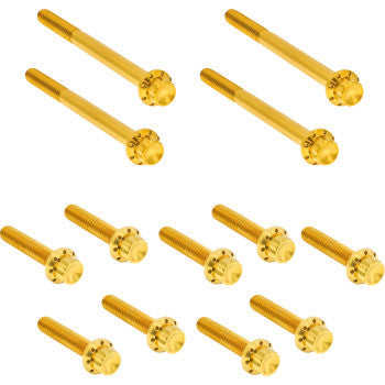 ARLEN NESS Bolt Kit - Primary Cover - Titanium - 12-Point - FLT - Gold 300-928