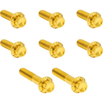 ARLEN NESS Bolt Kit - Trap Door - Titanium - 12-Point - Twin Cam/6-Speed - Gold 300-714