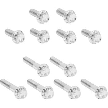 ARLEN NESS Bolt Kit - Rocker Box - 12-Point - Titanium - Polished 300-992