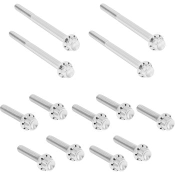 ARLEN NESS Bolt Kit - Primary Cover - Titanium - 12-Point - Softail - Polished 300-929