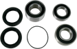 PIVOT WORKS Wheel Bearing Kit - Rear PWRWS-H14-000