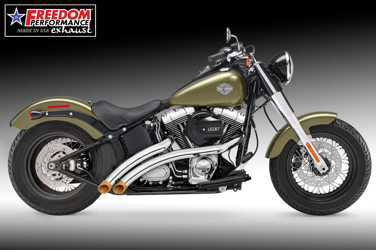 HARLEY SOFTAIL RADICAL RADIUS 1987-2017