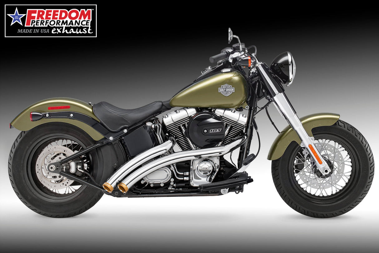 HARLEY SOFTAIL RADICAL RADIUS 1987-2017