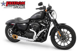 HARLEY SPORTSTER 2-INTO-1 TURNOUT/SIDEDUMP 2004-2022 Bundle (SPECIAL ORDER)