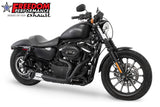 HARLEY SPORTSTER 2-INTO-1 TURNOUT/SIDEDUMP 2004-2022 Bundle (SPECIAL ORDER)