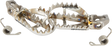 a41a-669ff780ee537.png