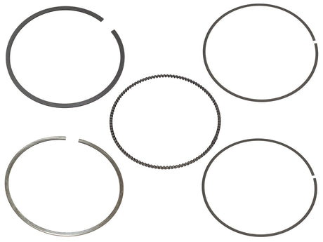 a6df-5f1596dc1ddba.jpg