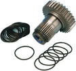 a804-572a8224d3ee3.jpg