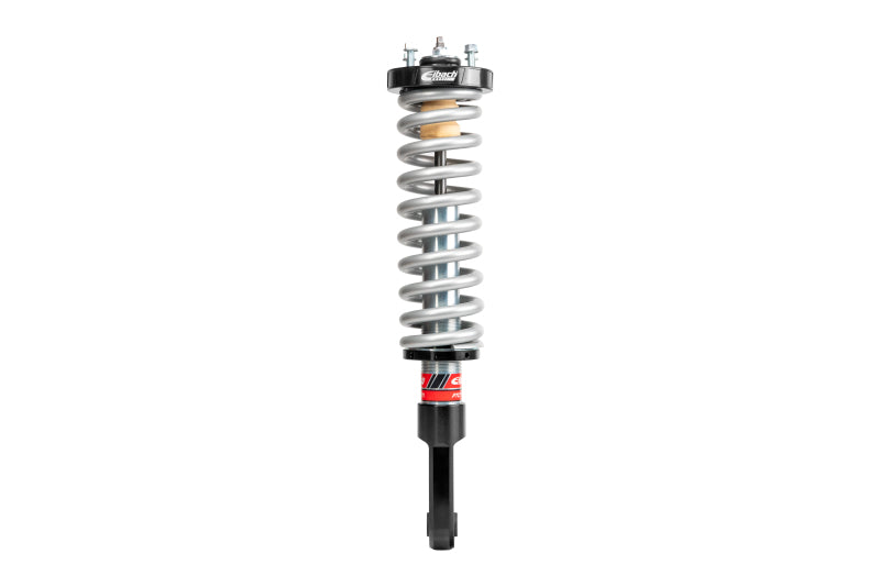 Photo - Close Up