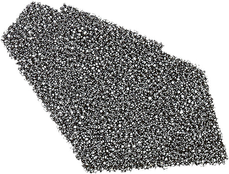 ab3e-572a7758cc86e.jpg