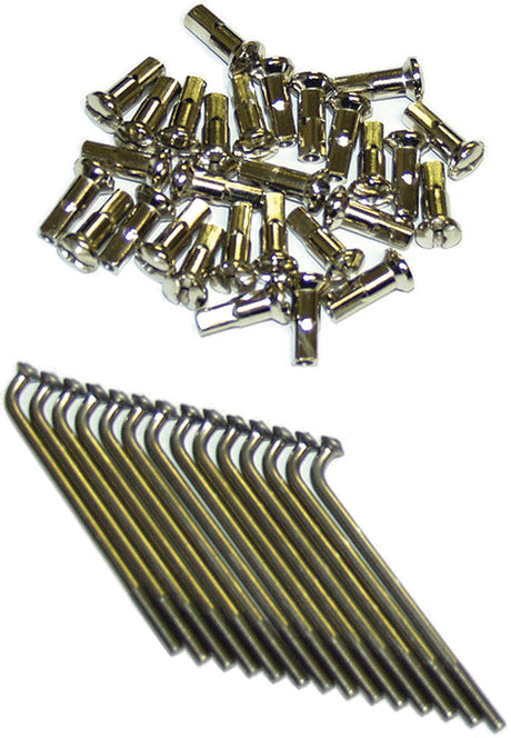 aeb2-572a8bec70b0a.jpg