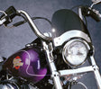 af95-572a72e02ff95.jpg