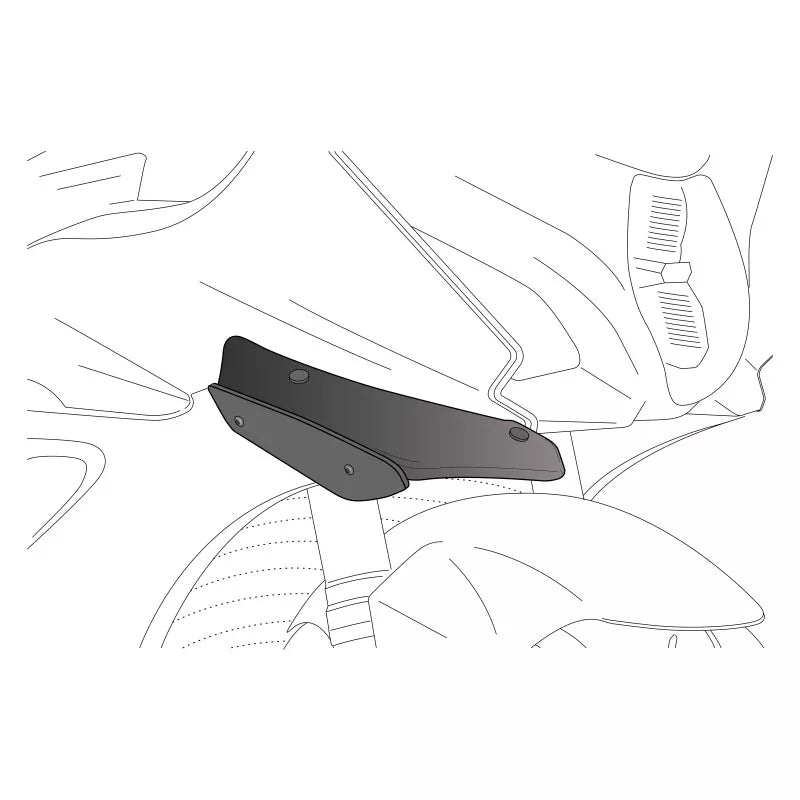 PUIG HI-TECH PARTS Winglets - S1000RR 2019-2022  3636N