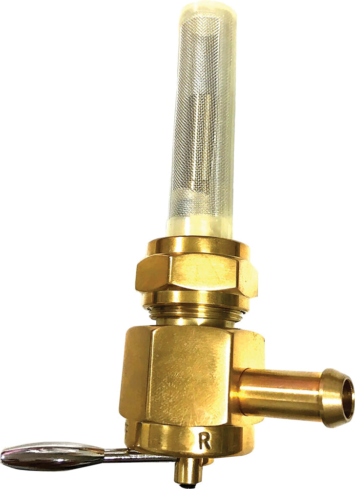 b352-5885e881040bf.jpg