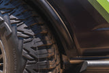 Photo - Close Up