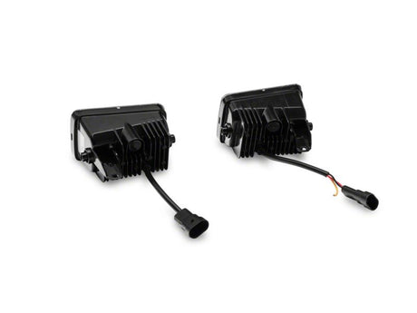 Photo - Close Up