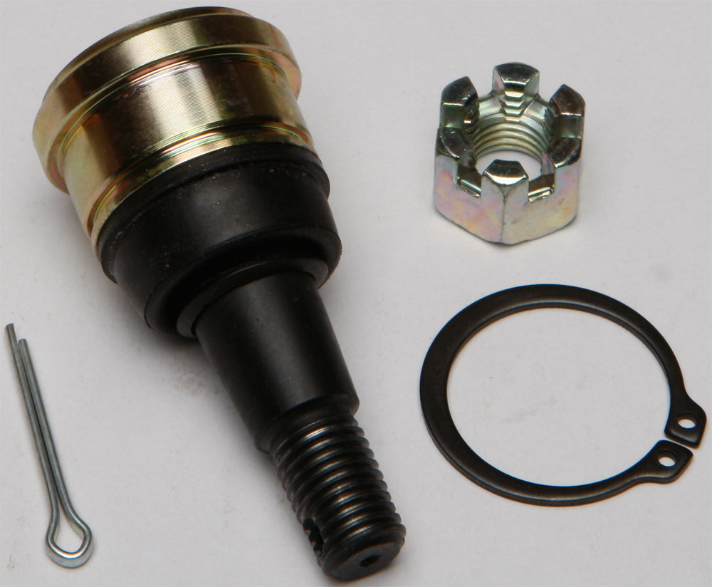 cf2a-572a5e58a918f.jpg