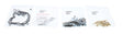 d1be-5d13caffad9ef.jpg
