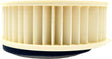 d2f7-572a8ab447e2e.jpg