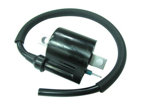 d525-5cc9cfef45e29.jpg