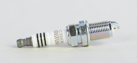 d60b-585c5968c9c76.jpg