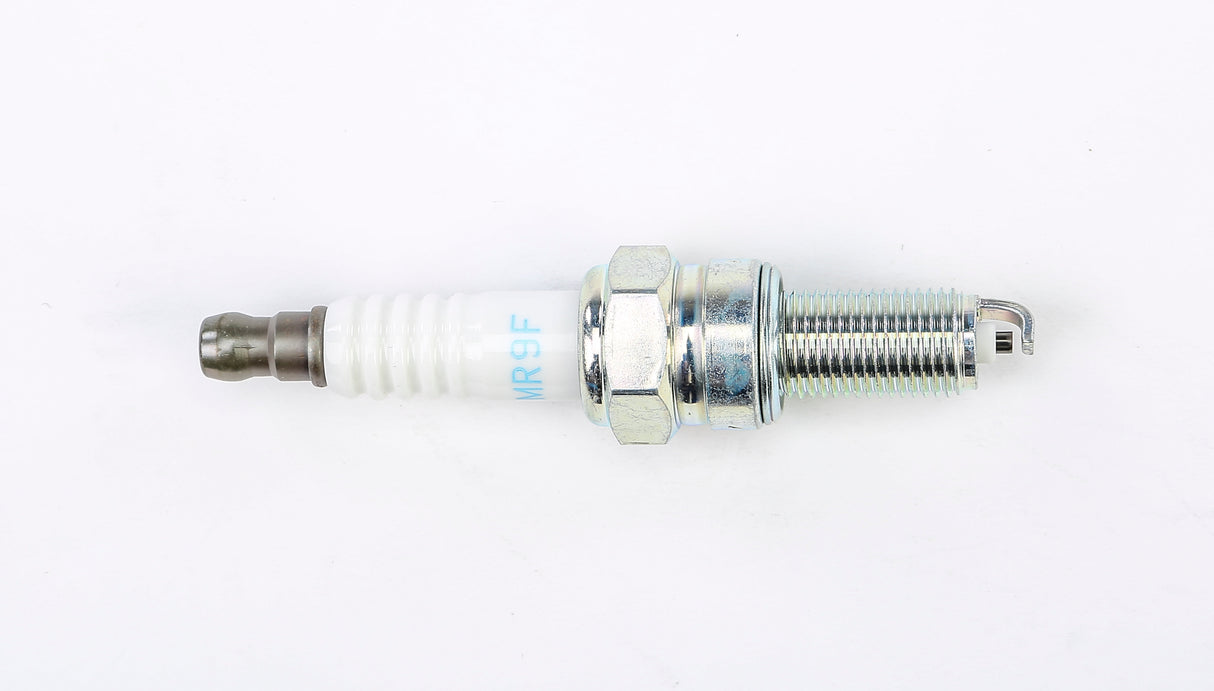d82e-5b0307ecac4ca.jpg