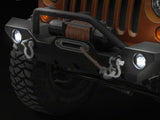 Photo - Close Up