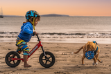 STRIDER 12" Sport Balance Bike - Red ST-S4RD