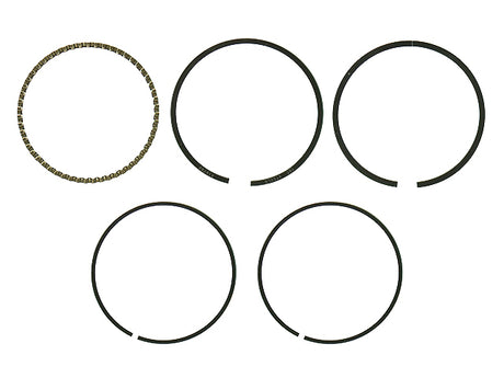 e2f1-5e96290f3a190.jpg