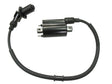e987-5cc9cfadad691.jpg